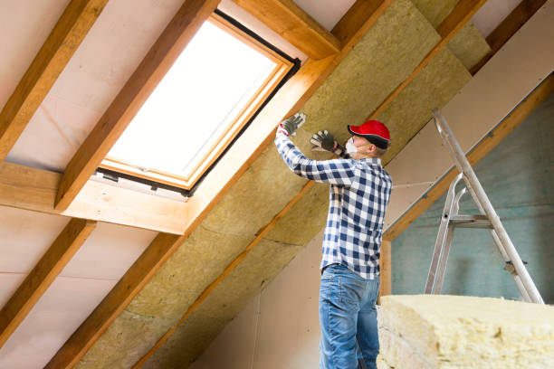 Professional Insulation Services in South Hill, VA